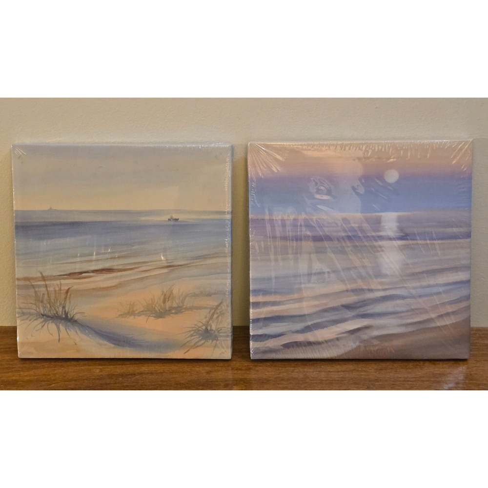 Shore Living Coastal Beach Moonlit Ocean Printed Canvas Wall Art Set 2 8.5x8.5